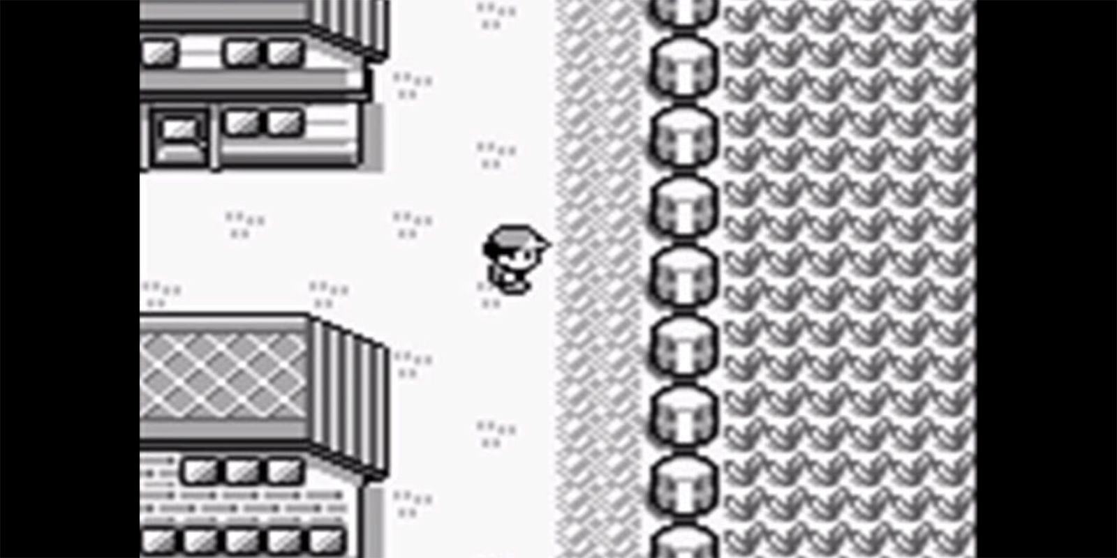 pokemon-blue-pallet-town-field-6988391